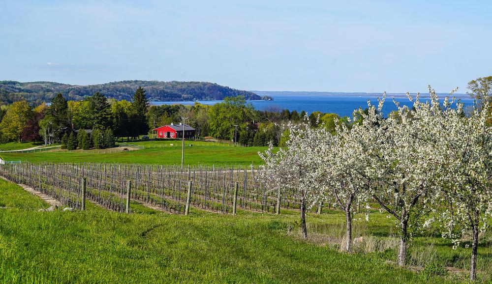 Old Mission Peninsula
