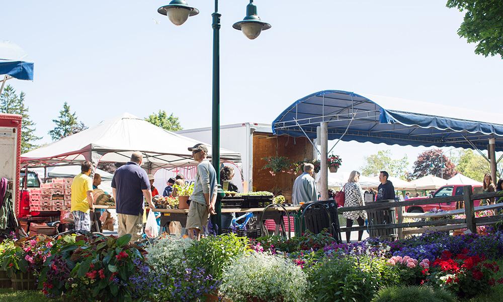 Sara Hardy Farmers Market